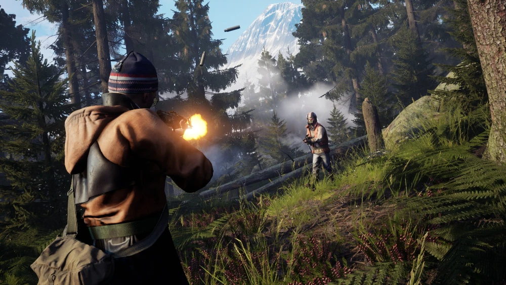 Vigor screenshot
